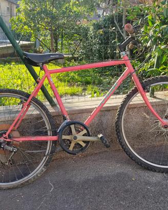 Bicicletta Voyager