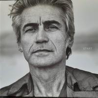Raccolta cd Ligabue buone condizioni