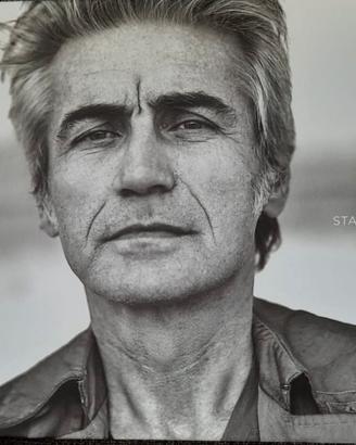 Raccolta cd Ligabue buone condizioni
