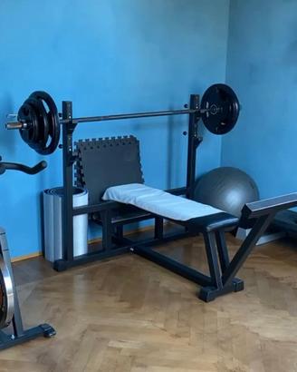 Panca piana professionale Technogym