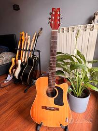 Rara Washburn D12 CE/N chitarra elettroacustica