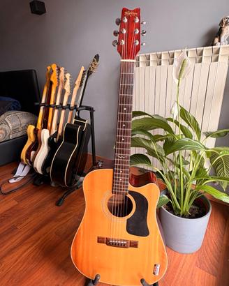 Rara Washburn D12 CE/N chitarra elettroacustica