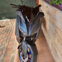 Xmax 300