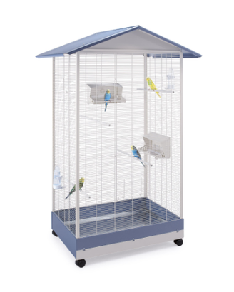 Voliera per chi AMA gli UCCELLI