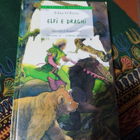 Libro per ragazzi edizione Einaudi elfi e draghi