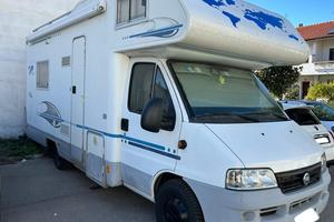 Camper Adrial coral