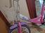 Immagine 3