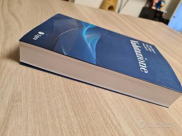 Libro Valutazione - Massari, Villani, Zanetti (Ege