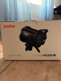Flash Godox MS300