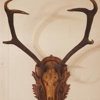 Trofei vari di animali