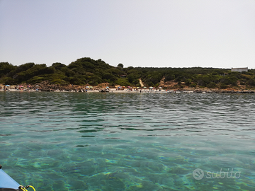 Accogliente appartamento vicino al mare