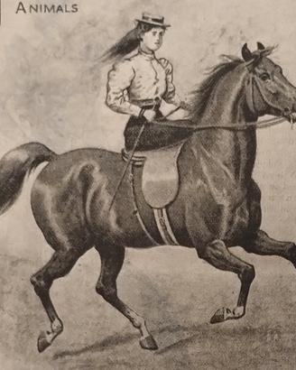 Pubblicità Ritaglio originale da rivista 1898 clip