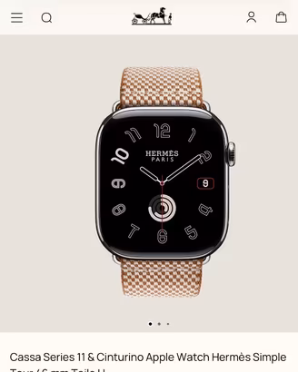 Apple Watch Hermes