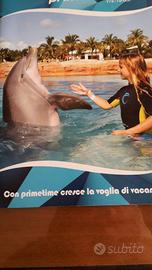 Buona vacanza 1 settimana in appartamento bilocale