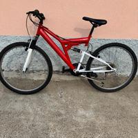 Bicicletta mountain bike
