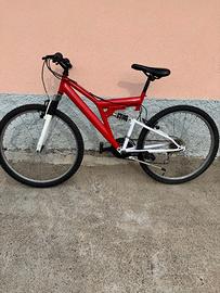 Bicicletta mountain bike