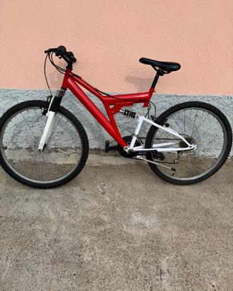 Bicicletta mountain bike
