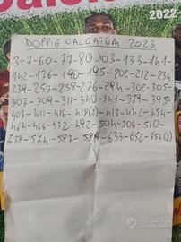 Calciatori panini 2022-2023