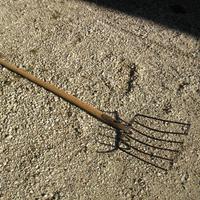 Forca da patate o barbabietola a 6 denti da cm 37