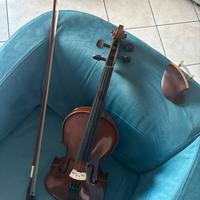 Violino