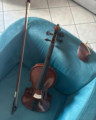 Violino