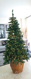 ALBERO DI NATALE