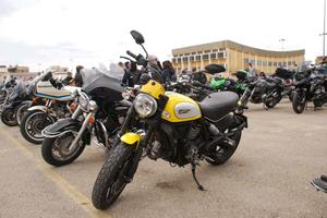 Ducati scrambler 800