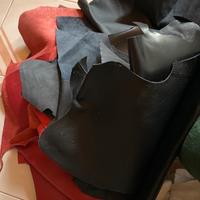 Pezzi di pelle