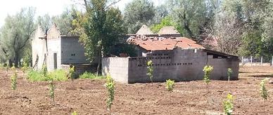 Terreno piu' limoneto