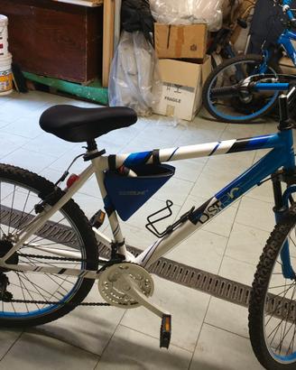 Bicicletta 