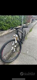 Mtb focus raven max 29 L carbonio