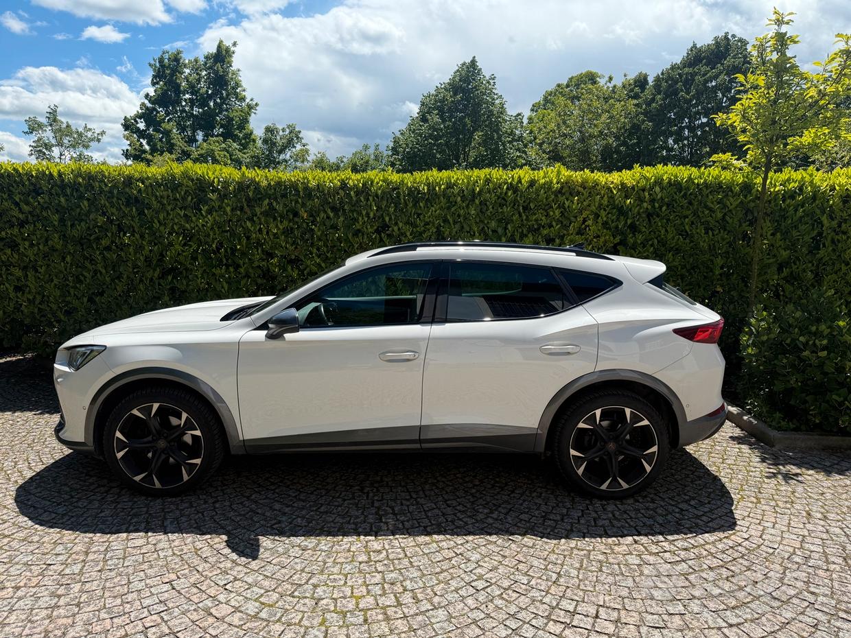 Cupra Formentor 2.0 tdi 4drive 150cv dsg