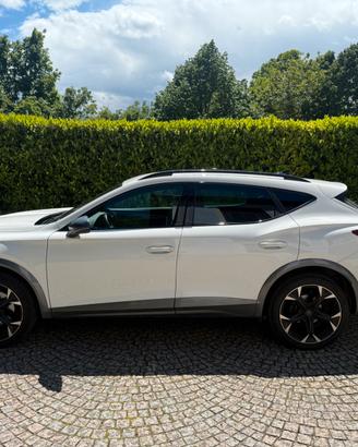 Cupra Formentor 2.0 tdi 4drive 150cv dsg