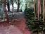 Immagine 18