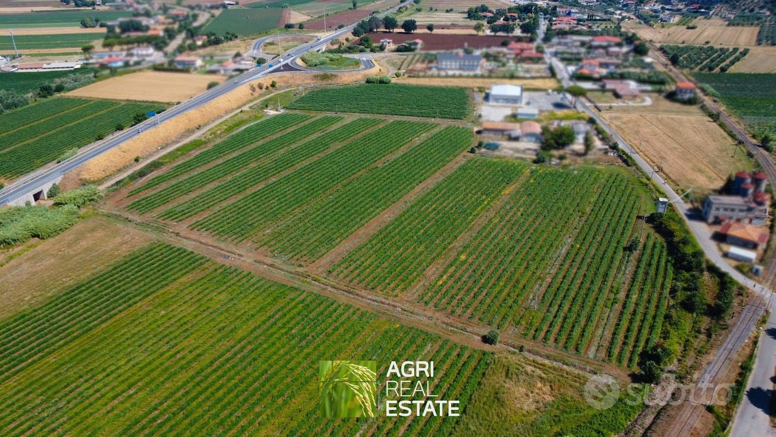 Terreno agricolo pianeggiante di 10 ettari - Altro