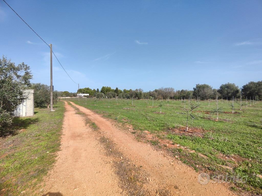 Terreno con progetto di villa con piscina - Vista 5