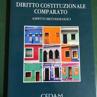 Libro Diritto costituzionale comparato