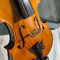 Violino e arco