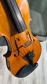 Violino e arco