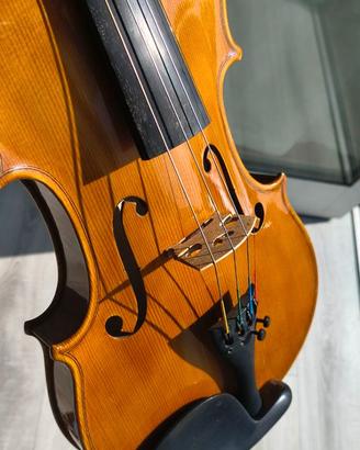 Violino e arco