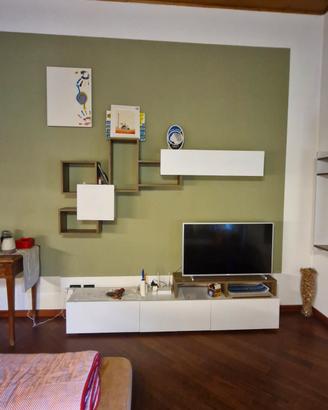 Mobile salotto e libreria 