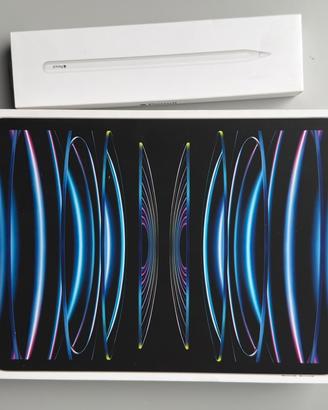 iPad Pro 11” (M2) 128 GB Argento + Pencil