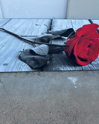 Quadro tela rosa rossa