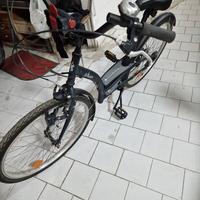 Bicicletta Donna o Fanciulla