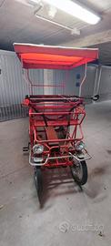 Risciò con PEDALATA ASSISTITA