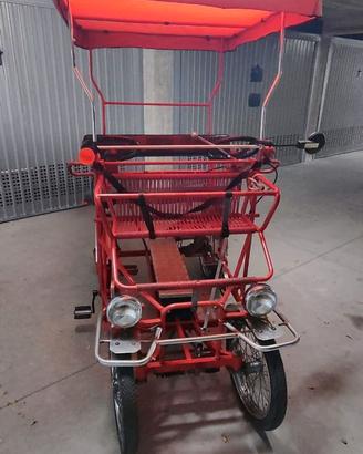 Risciò con PEDALATA ASSISTITA