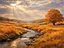 Immagine 10