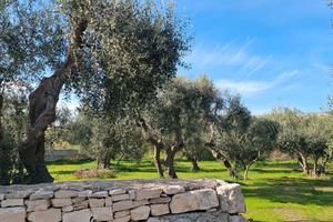 TERRENO MOLFETTA SUD