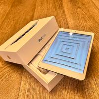 Ipad mini 2 con cover e protezione schermo
