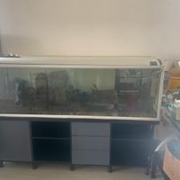 Acquario 2 metri  500+litri)con mobile e materiale